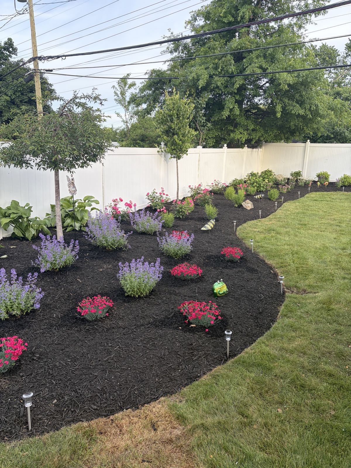 Long mulched bed planted with salvia and petunias against a white fence