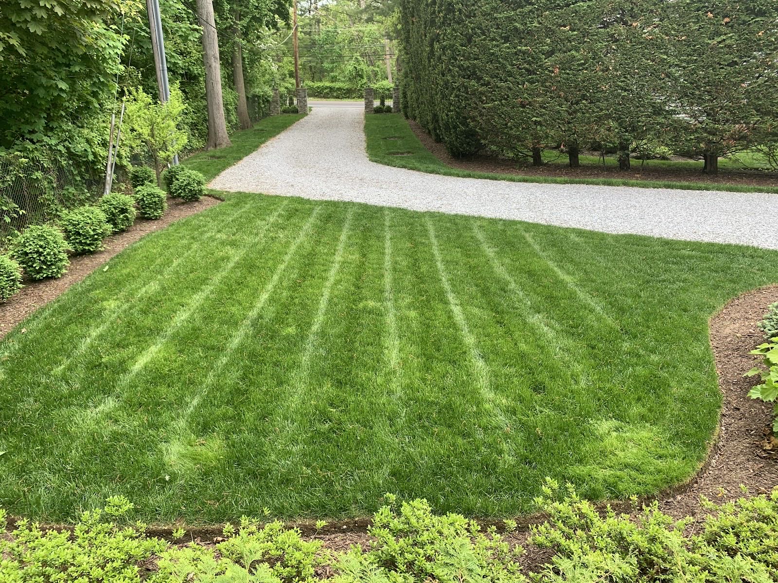 A front-yard landscape by Independent Lawn Service