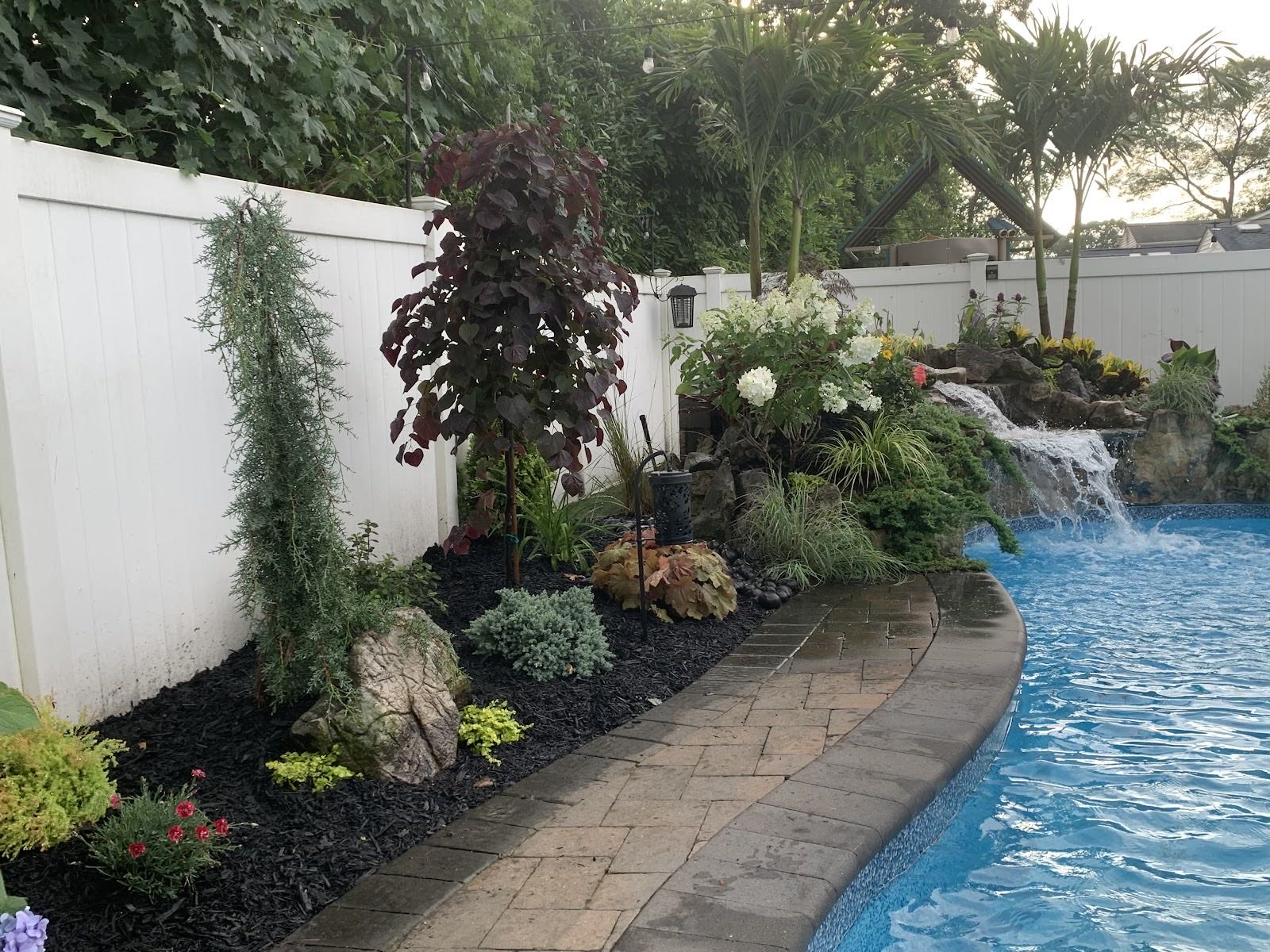 Poolside paver path with layered plantings and a water feature