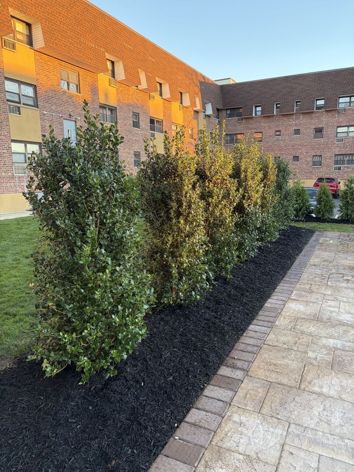 Mulch & Bed Installs