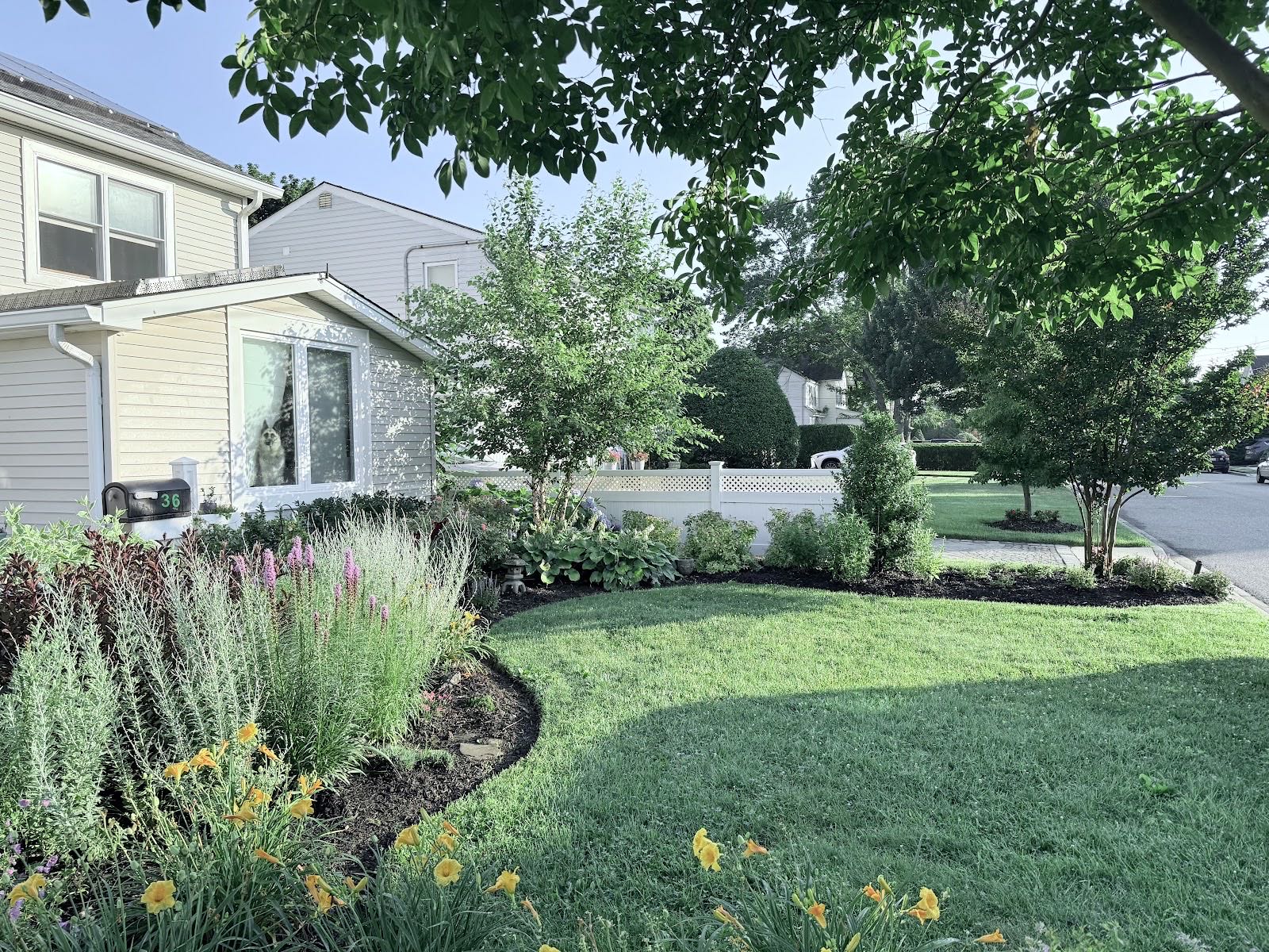 Curved mulch bed with daylilies and mature trees along a front lawn