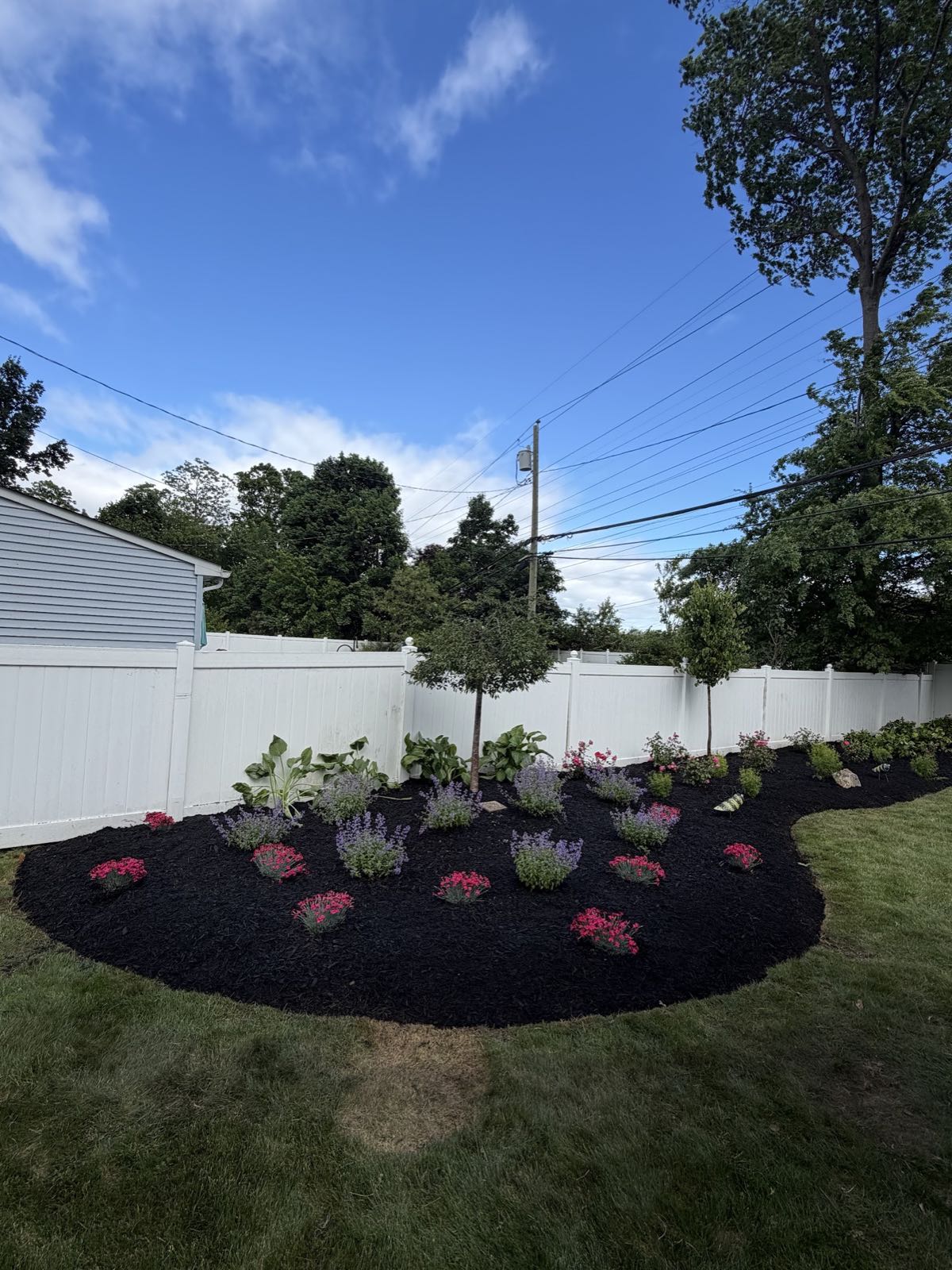 Large curved island bed of fresh mulch and perennials